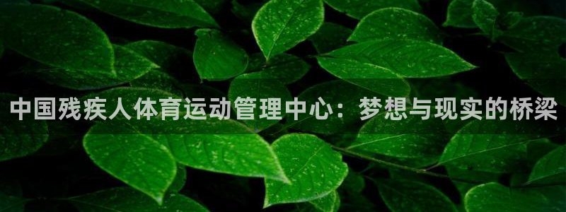 必发官方正版app科技:中国残疾人体育运动管理中心:梦想与现