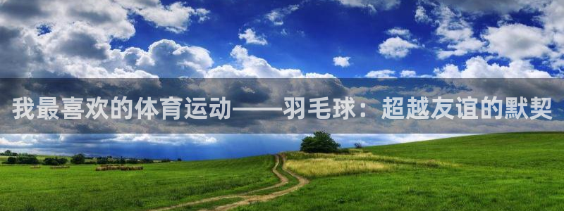 必发官方正版app集团官网首页:我最喜欢的体育运动——羽毛球