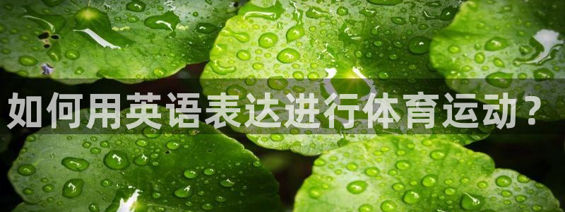 必发官网下载联系电话:如何用英语表达进行体育运动?